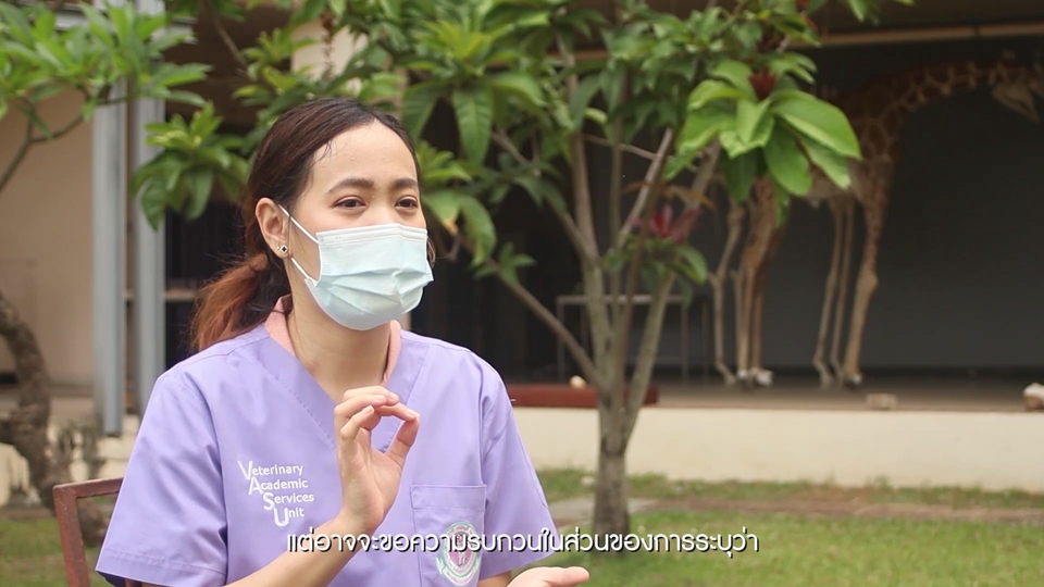 รับตัดต่อวีดีโอ ตัดต่อคลิป tiktok ทำวีดีโอ vlog ถ่ายวีดีโอ งานแต่ง