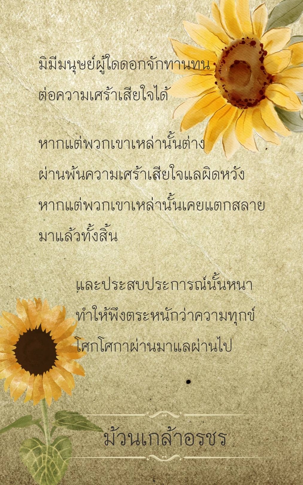 เขียนบทความ - แต่งบทความในวันสำคัญ - 24