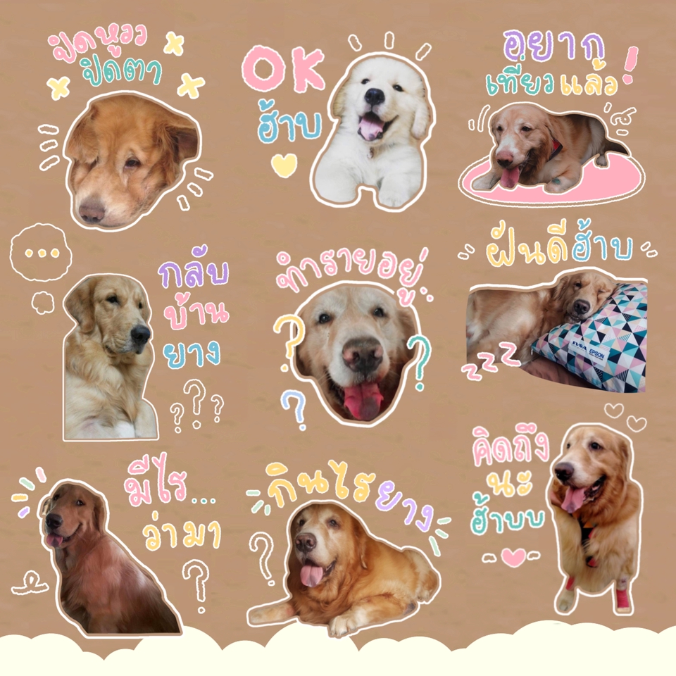 ออกแบบ LINE Sticker - สติกเกอร์ไลน์จากรูปภาพ - 13