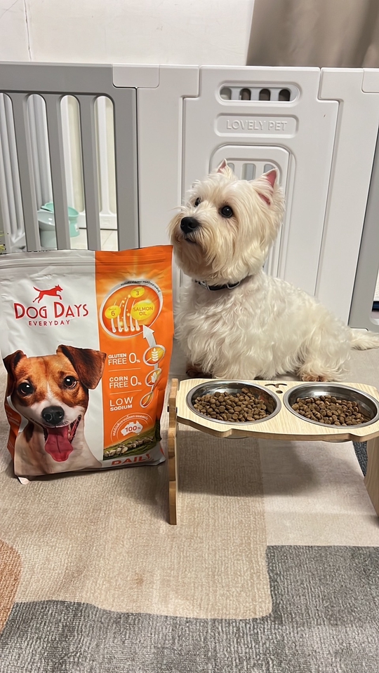 เน็ตไอดอลและบล็อกเกอร์รีวิว - รับรีวิวสินค้าและอาหารสัตว์เลี้ยง - 17