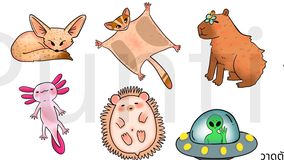 ออกแบบ Character & Mascot - ออกเเบบคาเเรคเตอร์ มาสคอต - 1