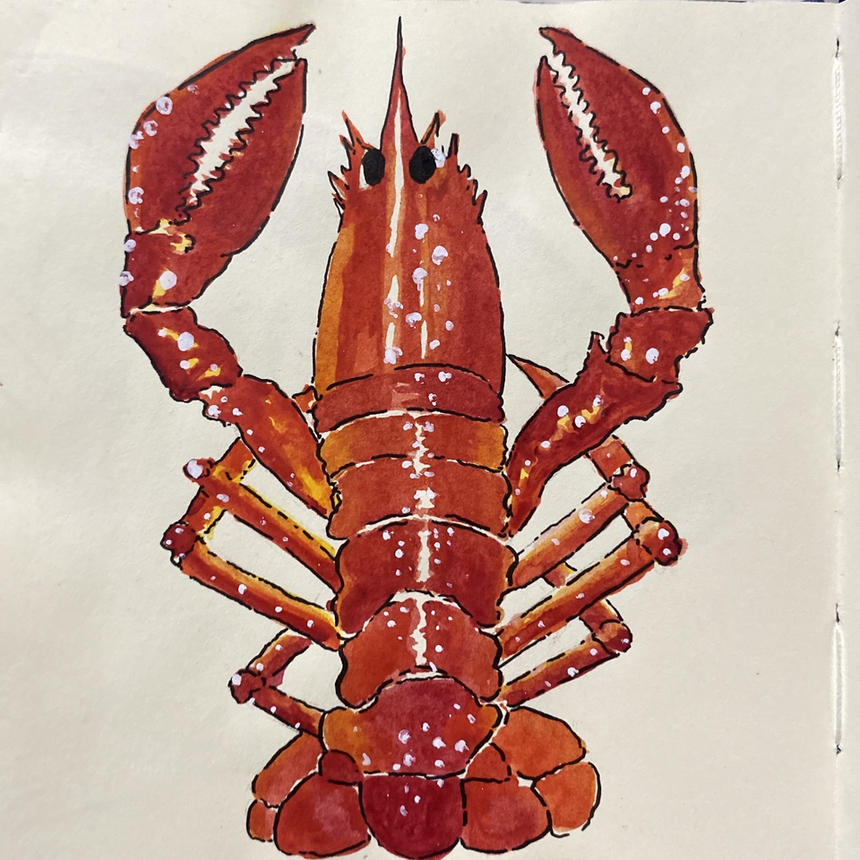 āļĢāļąāļāļ§āļēāļāļāļēāļĢāđāļāļđāļ āļāļļāđāļāļĨāļēāļĒāđāļŠāđāļ āļŠāļĩāđāļāļ āļŠāđāļāļĨāđāļĄāļīāļāļīāļĄāļāļĨ