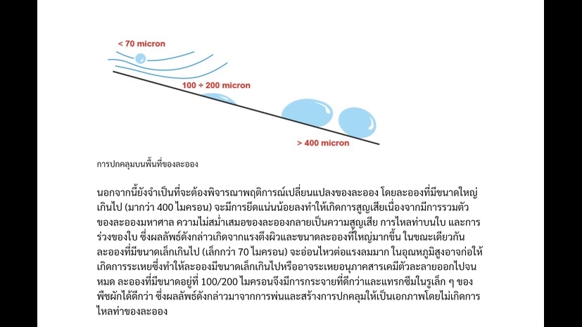 แปลภาษา - แปลไทย-อังกฤษ หรืออังกฤษ-ไทย และพิสูจน์อักษร - 3