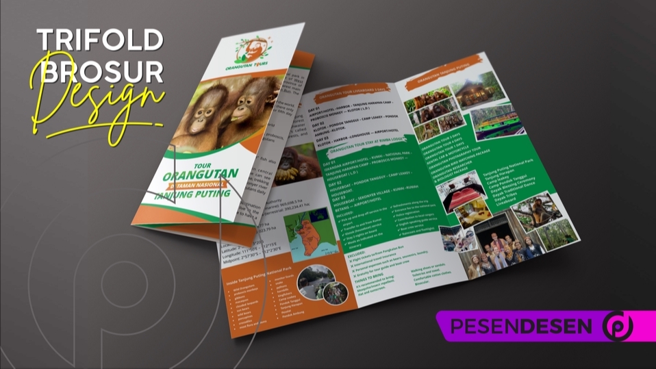 Digital Printing - Desain Brosur Keren - Unlimited Revision - 5