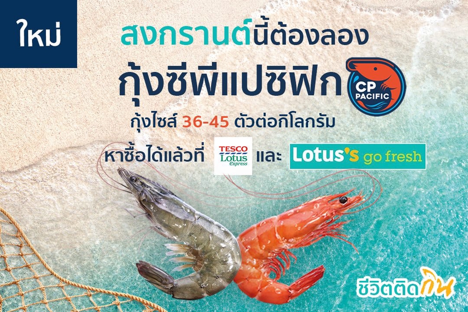 Banner โฆษณา - ออกแบบ Artwork / Banner สื่อโฆษณาออนไลน์ ออฟไลน์ ทุกชนิด - 9