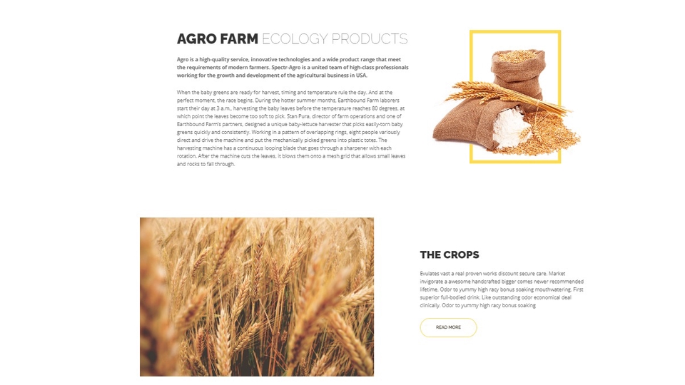 Web Development - Jasa Pembuatan Website Company Profile & Bisnis - 8