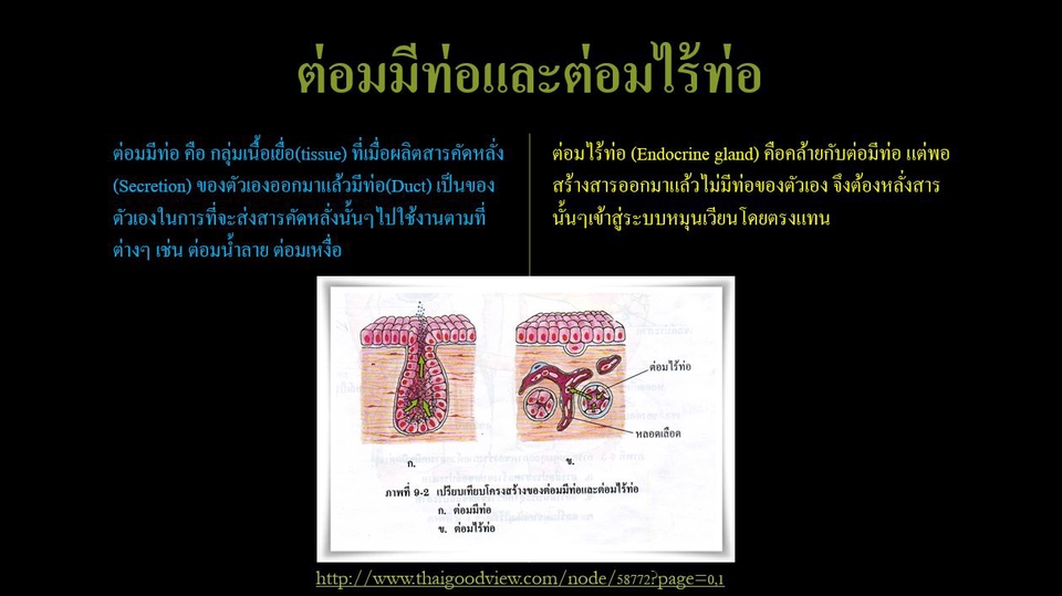 พิมพ์งาน และคีย์ข้อมูล - รับพิมพ์งานเอกสาร ทำสไลด์ - 2