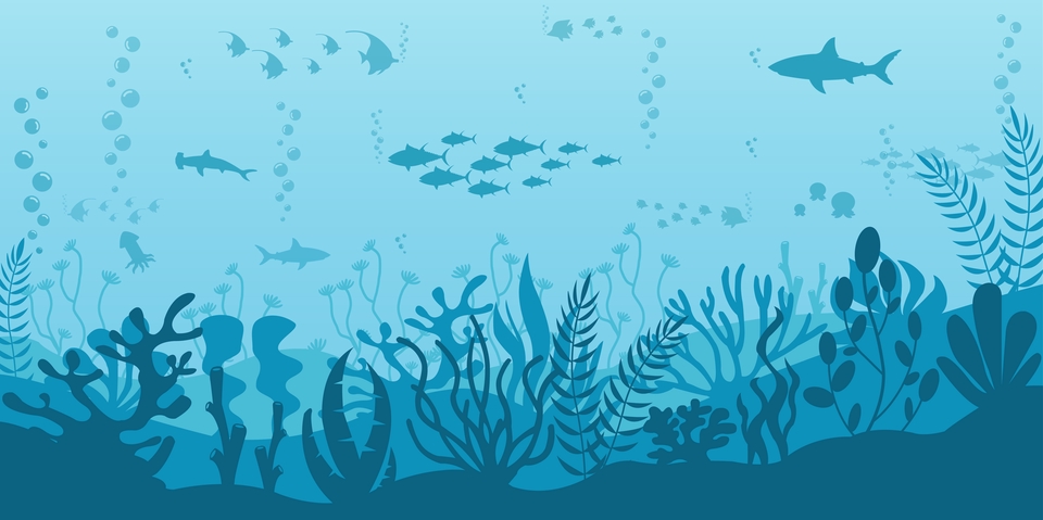 Gambar dan Ilustrasi - Desain ilustrasi pemandangan - 18