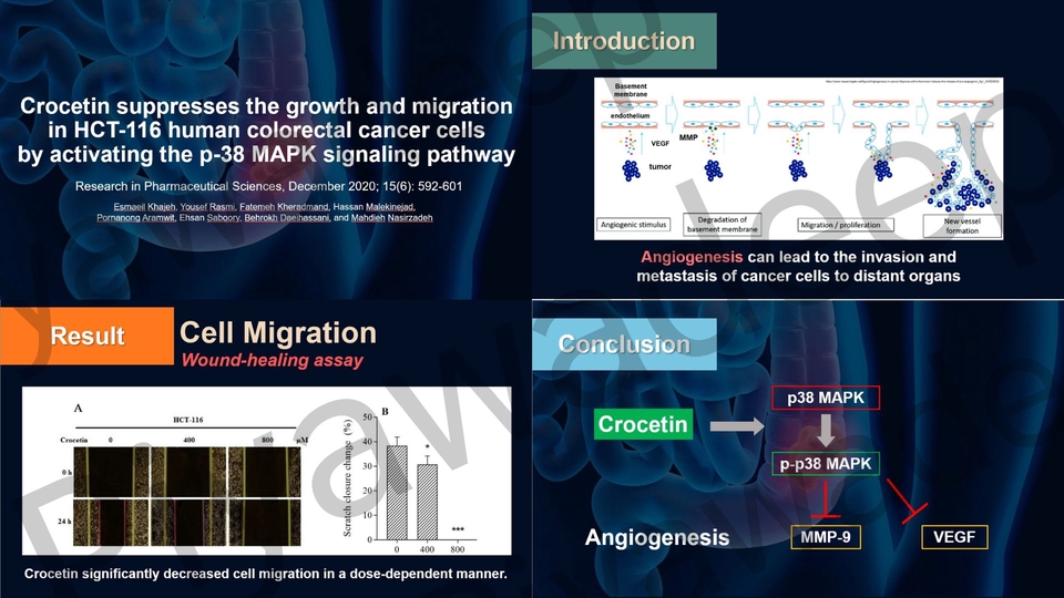 Presentation - Presentation งานวิจัย,งานเสนอไอเดีย (รับงานด่วน) - 5