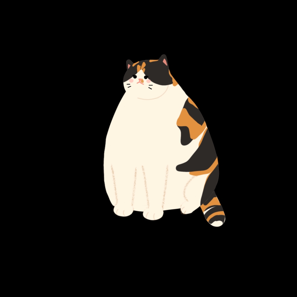 รับวาดรูปการ์ตูนแมวอ้วน น่ารัก สไตล์ญี่ปุ่น วาดรูปการ์ตูนแมว 3d