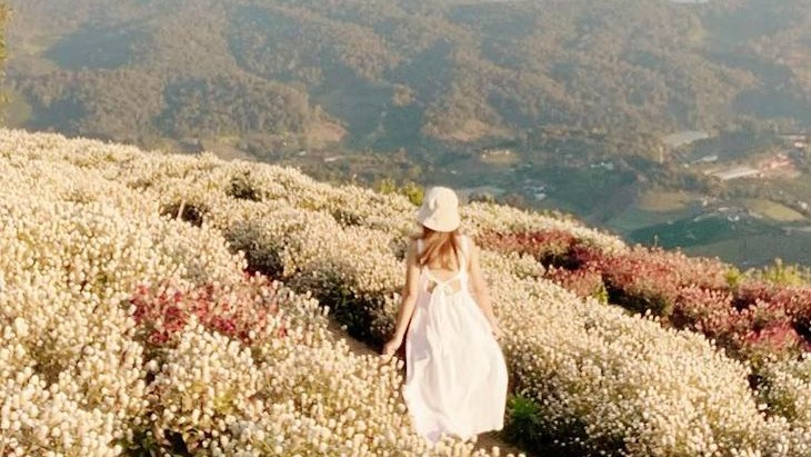 Presentation - ออกแบบ presentation ให้มีความสวยงามและน่าสนใจ และอ่านเข้าใจง่าย - 1