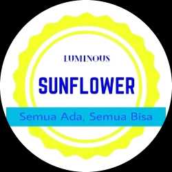 luminous_s