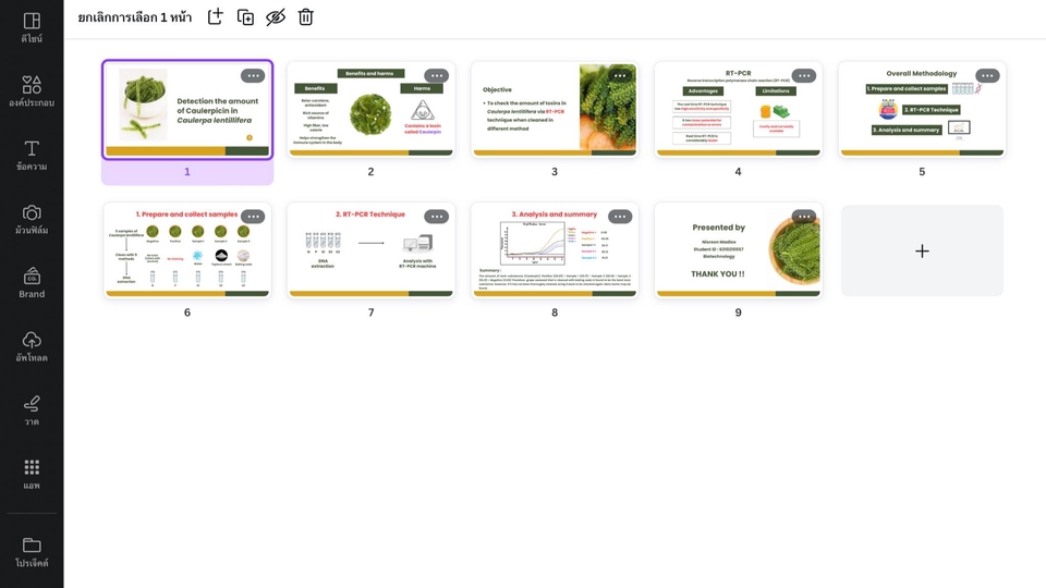 พิมพ์งาน และคีย์ข้อมูล - รับพิมพ์งาน/เอกสาร (ไทย/อังกฤษ) และทำ Presentation ด้วย canva - 8