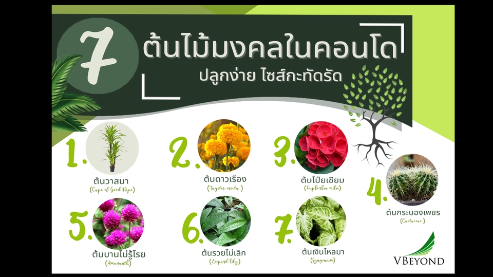 Infographics - รับทำสื่อภาพนิ่ง Infographic สื่อ Content knowledge - 1