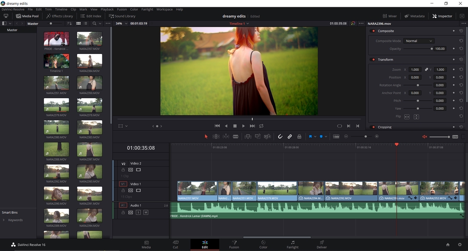 Video Editing - Profesional Video Editing - 13