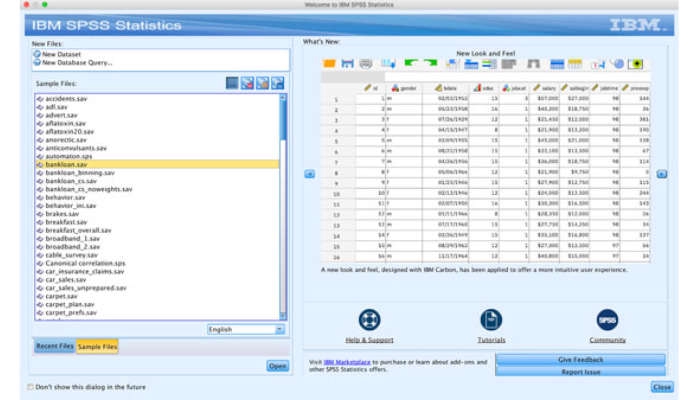 Analisis Data - Jasa Olah Data SPSS - 4