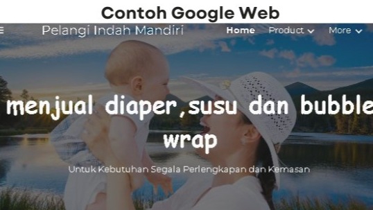 Admin Web & Page - Mengelola Data Toko Online dan Publis di Google Web - 5