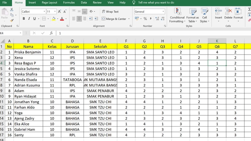Data Entry Excel