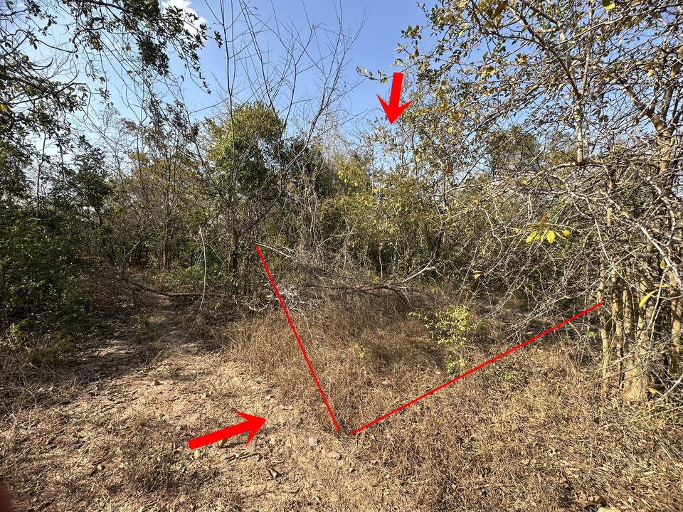 คัดโฉนดที่ดิน - คัดโฉนดและถ่ายรูปทรัพย์ - 5