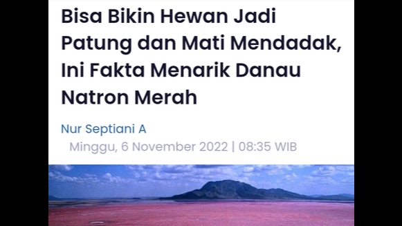 Penulisan Konten - Jasa Penulisan Artikel SEO Friendly. Murah, Cepat dan Berkualitas - 9