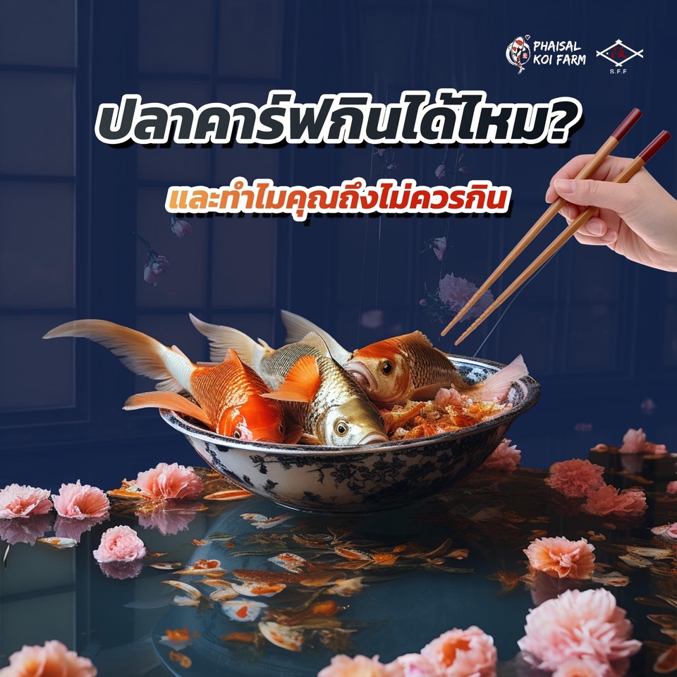 Banner โฆษณา - ออกแบบ Banner / Content Online/ ภาพโฆษณา ทางโซเชียล - 11