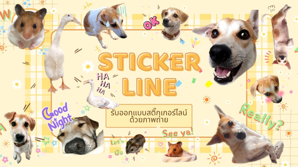 ออกแบบสติ๊กเกอร์ไลน์น่ารัก สุดปัง ภาพสัตว์เลี้ยง
