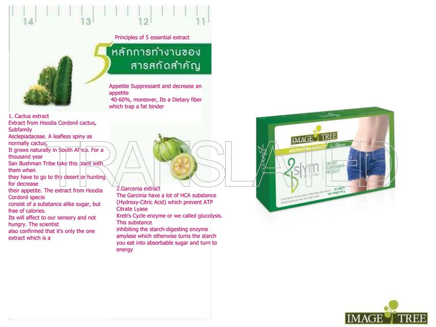 รับแปลเอกสารภาษาอังกฤษ ไทย ญี่ปุ่น จีน เกาหลี เวียดนาม อาหรับ งานแปลคุณภาพสูง บริการแปลภาษาครบวงจร