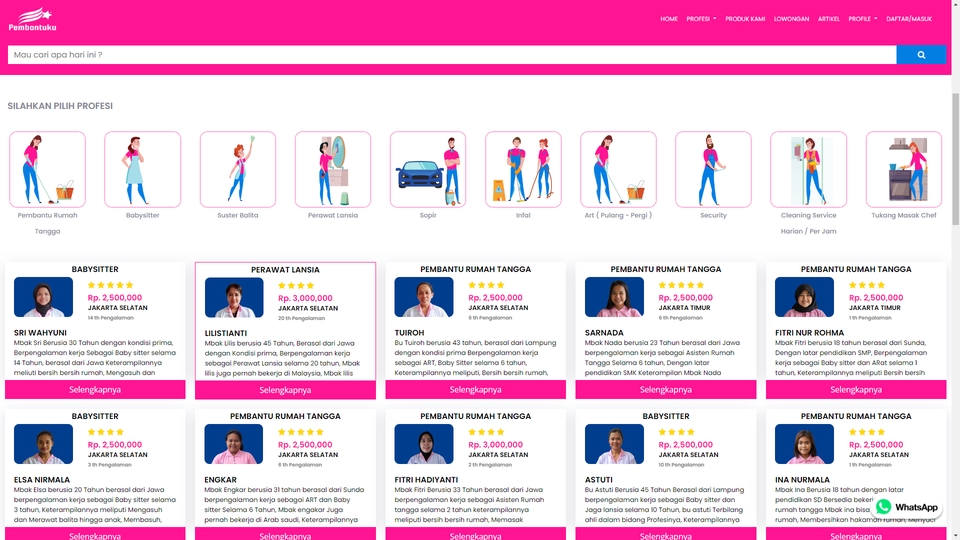 Web Development - Website Portofolio, Proprerty, Organisasi, UMKM, Ecoomers, Set up Custom Dynamic content - 3