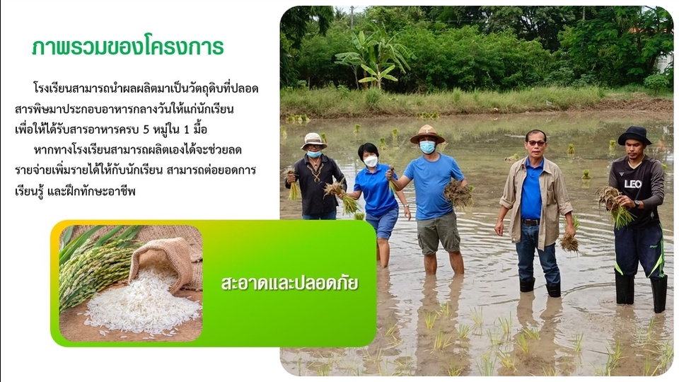 รับทำพรีเซนเทชั่น ผลงานวิชาการ เกี่ยวกับการเพาะปลูกข้าว