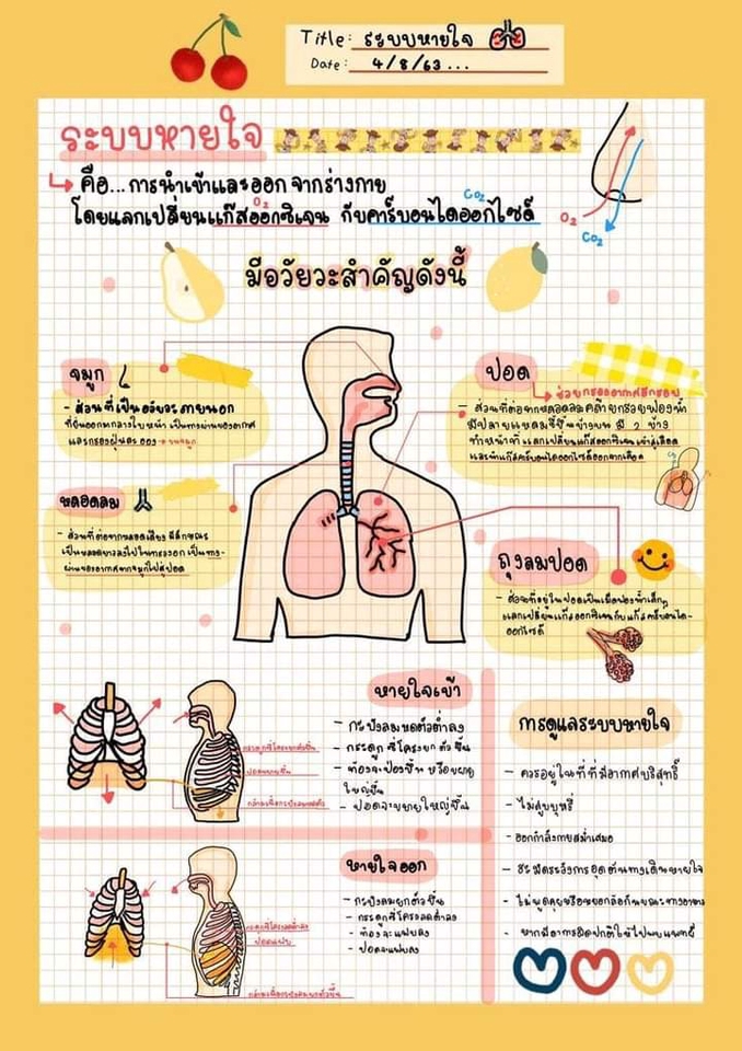 แปลภาษา - รับเเปลภาษาจีน อังกฤษ เป็นไทย - 10
