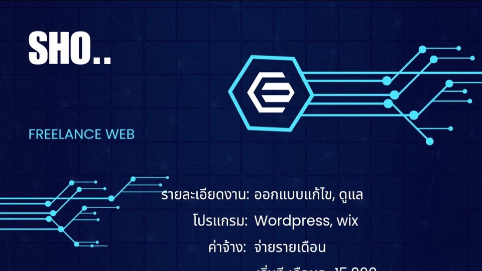 Wordpress - ออกแบบแก้ไขตกแต่งเว็บไซต์ - 1