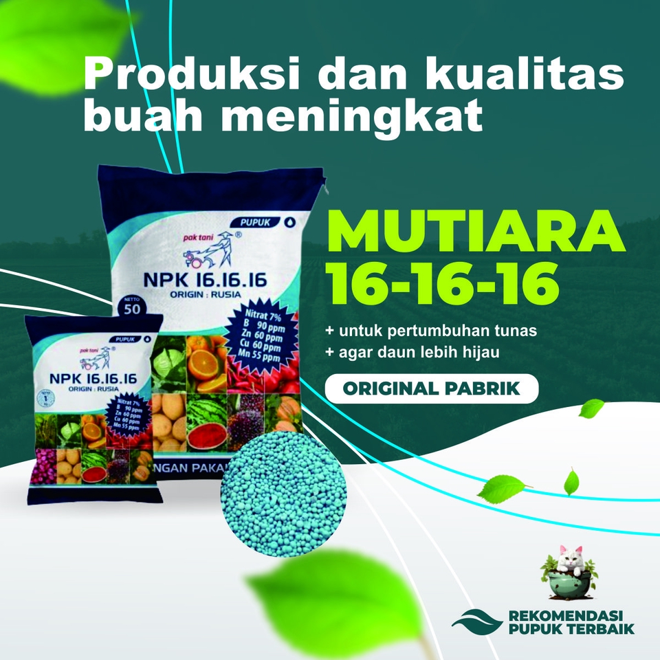 Pupuk Mutiara 16-16-16 untuk pertumbuhan tunas dan daun tanaman, original pabrik, rekomendasi pupuk terbaik