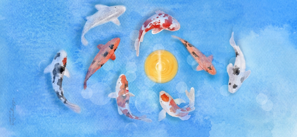 วาดภาพประกอบ - รับวาดภาพประกอบสีน้ำ Watercolor Illustration - 7