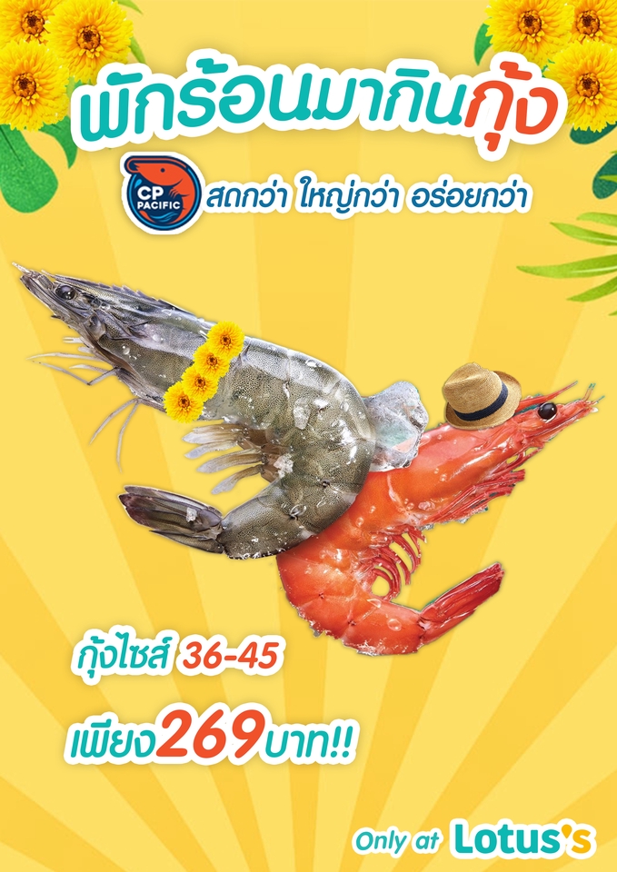 Banner โฆษณา - ออกแบบ Artwork / Banner สื่อโฆษณาออนไลน์ ออฟไลน์ ทุกชนิด - 15