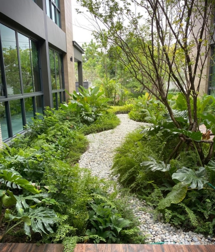 ออกแบบภูมิทัศน์และตกแต่งสวน - ออกแบบภูมิทัศน์ จัดสวน วางผัง / Landscape Design - 3