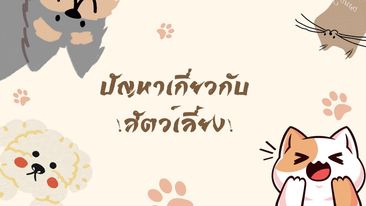 Presentation - รับทำสไลด์ใน CANVA หลากหลายรูปแบบ - 9