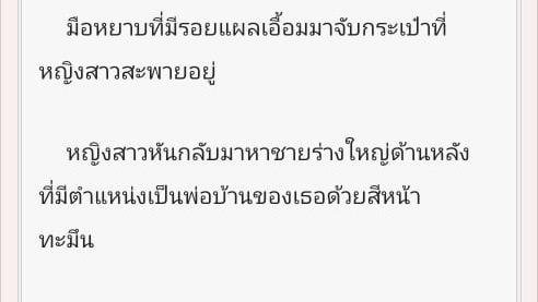 เขียนนิยาย / เรื่องสั้น - รับเขียนนิยาย/นักเขียนเงา - 4