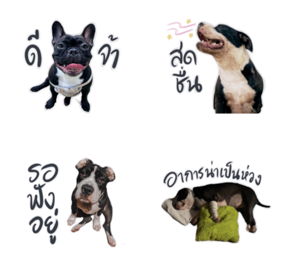 ออกแบบ LINE Sticker - รับทำสติกเกอร์ไลน์ - 2