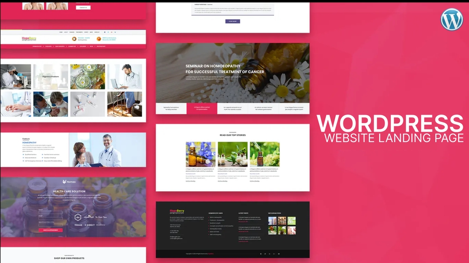 Web Development - Website Landing Page Wordpress - 1