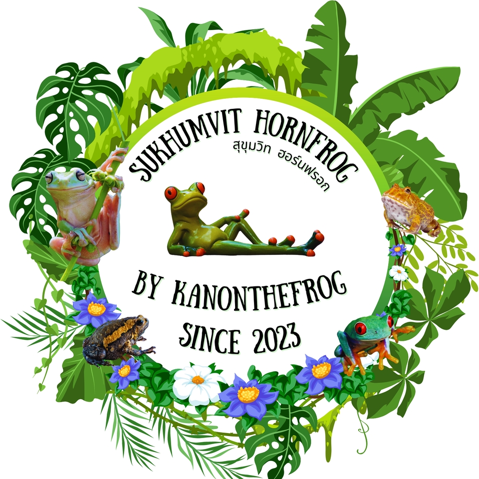 สื่อสิ่งพิมพ์และนามบัตร - รับออกแบบสิ่งพิมพ์ และนามบัตร ด่วน รอรับงาน 24 ชม. - 30