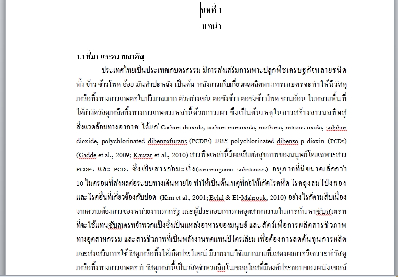 พิมพ์งาน และคีย์ข้อมูล - รับพิมพ์งานเอกสารทั่วไป ภาษาไทย-อังกฤษ ราคาถูก (รับงานด่วน) - 2