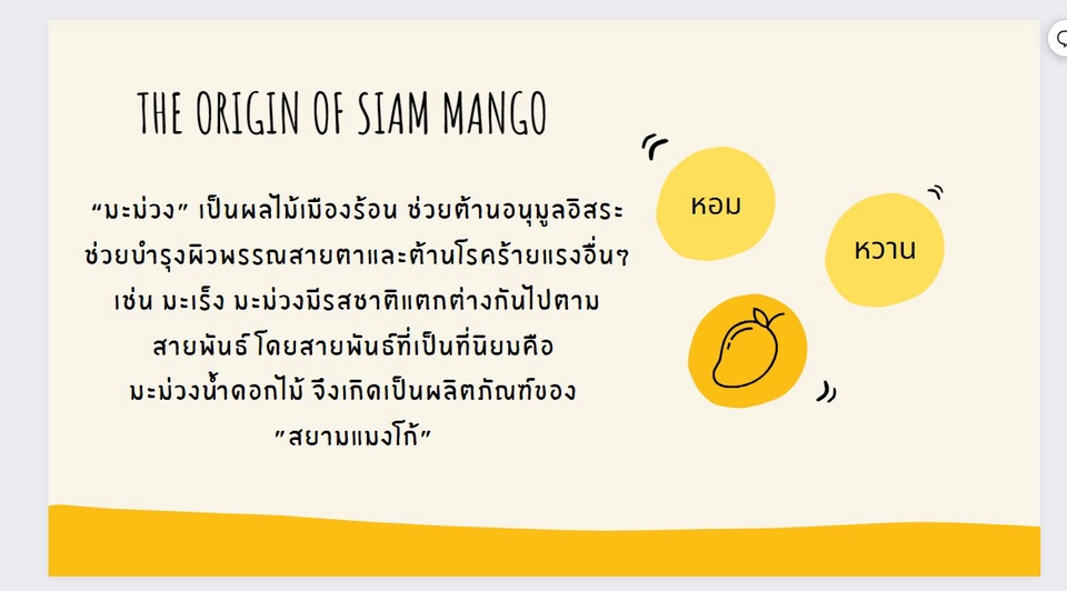 Presentation - ออกแบบงานนำเสนอ (Power Point และ Canva) - 2