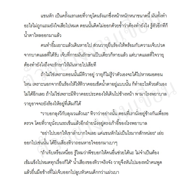 รับเขียนนิยายภาษาไทย บริการเขียนนิยายมืออาชีพ เรื่องราวคุณภาพ