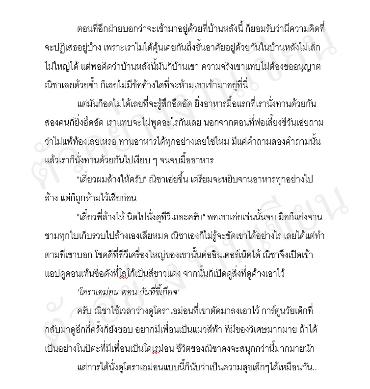 รับเขียนนิยายภาษาไทย บริการเขียนเรื่องราวต่างๆ