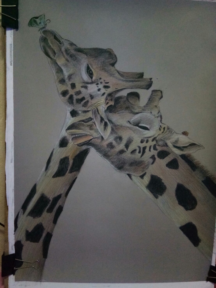 วาดภาพเหมือน Portrait - ดรออิ้ง รูปคนเหมือน สัตว์ สิ่งของ ทิวทัศน์ ฯลฯ - 12