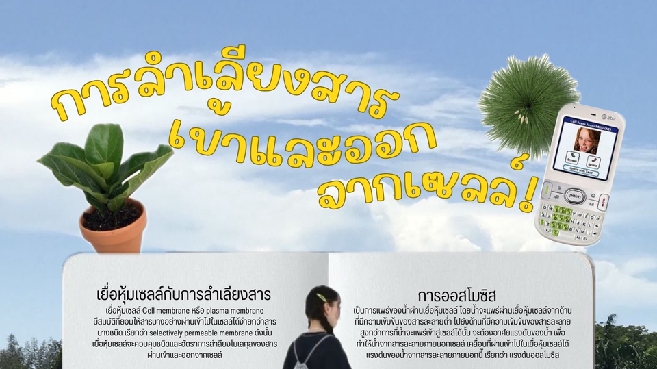 Infographics - Educational infographics - 1