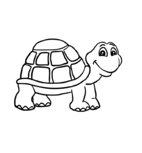 Jasa desain karakter kartun: karakter kura-kura lucu, desain maskot hewan imut.