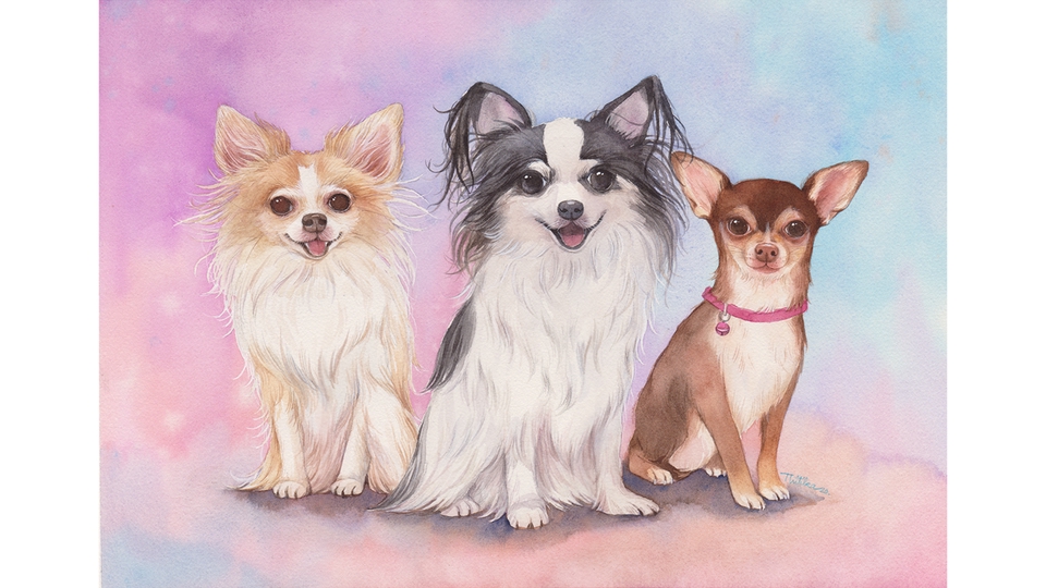 วาดภาพประกอบ - วาดภาพประกอบสีน้ำ ภาพวิวทิวทัศน์ สัตว์เลี้ยง ดอกไม้ - 4