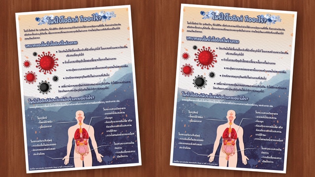 Infographics - ออกแบบ Infographic งานสวยอลังการ งานด่วนถูกใจ - 5