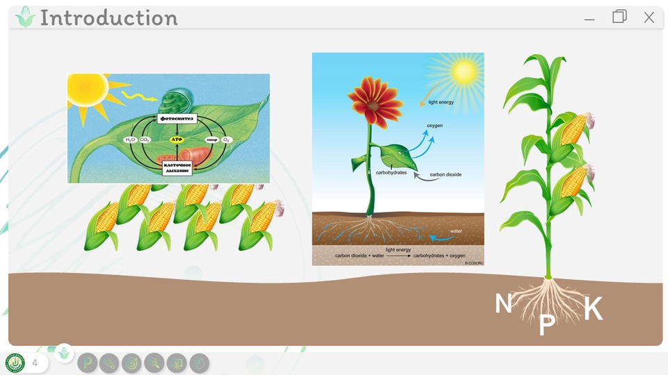 Presentation - ออกแบบ Presentation ด้วยโปรแกรม PowerPoint - 4